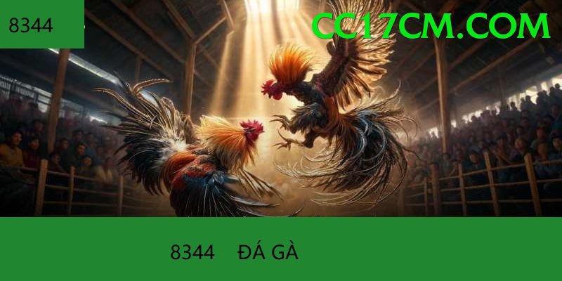 Đá Gà Trực Tiếp - Ưu đãi đặc biệt
